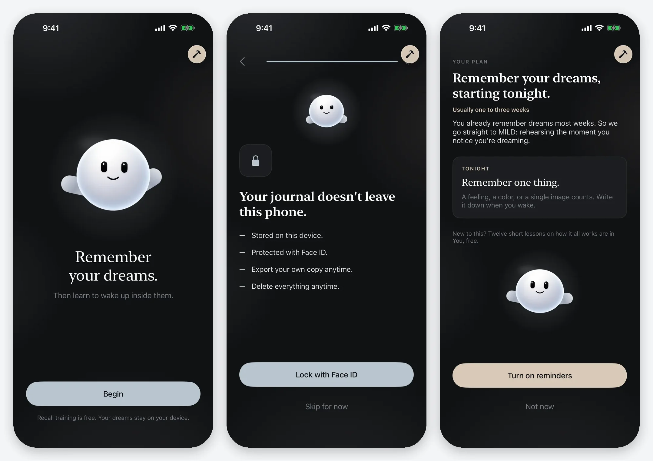 Three onboarding screens: Remember your dreams, Your journal doesn't leave this phone, and the generated plan